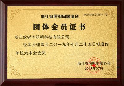 浙江照明電器協(xié)會(huì)-團(tuán)體會(huì)員證書(shū)