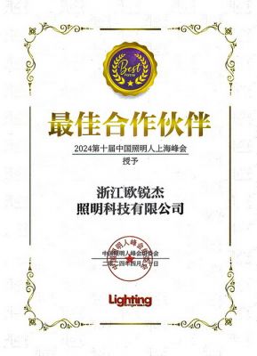 2024第十屆中國照明人上海峰會(huì) 最佳合作伙伴